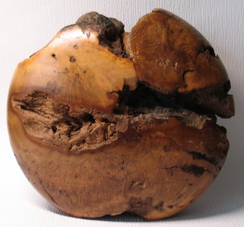 Große holz linse - große, holz-linse