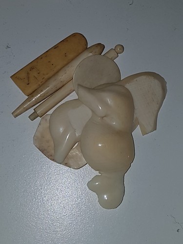 Beinarbeiten taxidermie - taxidermie,